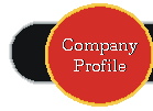 compaqnyprofilelogo.gif (2002 bytes)